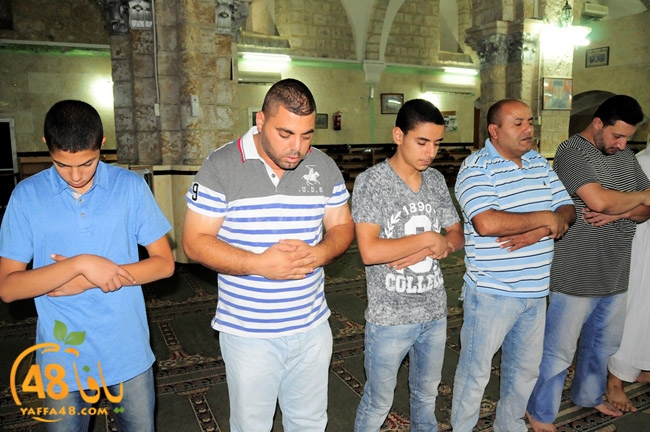 trawe7 ramla kaber (2).JPG